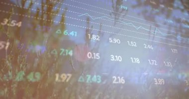 Çimenlerin arasından süzülen yumuşak güneş ışığı verilerin örtüşmesi zayıflıyor ve piyasa grafiği değişiyor. Doğa, veri görselleştirme, finansal analizler, güneş, büyüme, teknoloji, açık hava