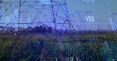 Dijital grafikler çimenli düzlüklerde kayboluyor, veri grafikleri güç analizi için direkleri aşıyor. Yenilenebilir, yenilikçi, altyapı, bağlantı, enerji, teknoloji, sürdürülebilirlik