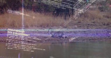 Çamurlu savana dönüşen örtüler gerçek zamanlı analiz görselleştirmesi için antilop ölçümleri tarıyor. Vahşi yaşam, veri görselleştirme, savana, doğal çevre, analitik, dijital sanatlar, ekolojik izleme