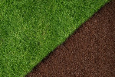 Düz tasarım çizimi, canlı yeşil çimenler ve zengin kahverengi toprak arasında çapraz bölünmeyi gösteriyor. Doğa, dokular, kontrast, yaban hayat, ekoloji, manzara, çevre