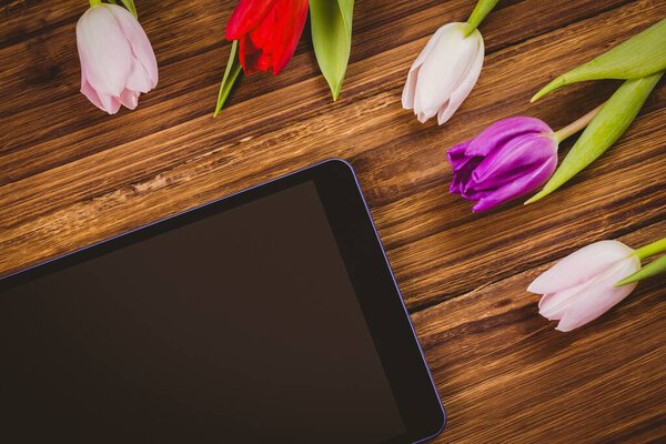 Flat design showing tablet lying at angle on wood desk, tulip blooms are adding colorful accent. Minimalist, floral, interior, modern, lifestyle, decorative, natural