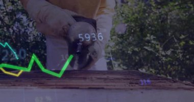 Arı yetiştiricisi kovan üzerinde sigara içeni kaldırıyor, kovan sağlığını gösteren grafiği çiziyor. Apier, zanaat, çevre, analitik, koruma, bahçıvanlık, açık hava