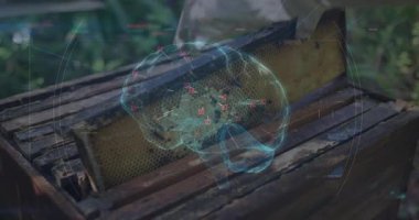 Kıdemli arıcı arı kovanını açıyor ve AR kaplamalı arıcılık analizi için bal peteği çerçevesini tarıyor. Apiary, Beekeeping, holography, data görselleştirme, nature, research, innovation