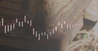 Ses yükselen ve yıpranmış bir direğe düşerken arı sürünerek ses çıkarmayı tetikledi. Doğa, böcekler, işçilik, dijital, açık hava, sükunet, teknoloji