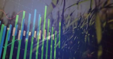 Çubuklar yükselirken ve kırmızı yeşil çizgiler trendleri izlerken şeffaf bar tablosuyla açılıyor. Bilgi grafikleri, doğal, minimalist, analitik, ekolojik, görselleştirme, teknoloji