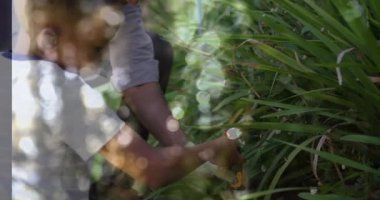 Baba, oğlunun yanında diz çöküp bahçe toprağını gevşetiyor ve bitkileri suluyor. Aile bahçıvanlığı, açık hava aktivitesi, akıl hocalığı, doğa, büyüme, eğitim, canlı