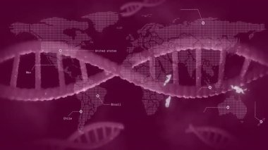 Brezilya üzerinden başlayan ışıltı ve veri etiketlerini gösteren kıtalar boyunca hareket eden DNA sarmalı kayması. Futuristik, küresel, bağlantı, teknoloji, yenilik, ağ, dijital