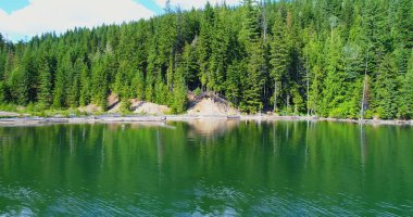 Güneşli bir günde nehirden yeşillik vuruşu