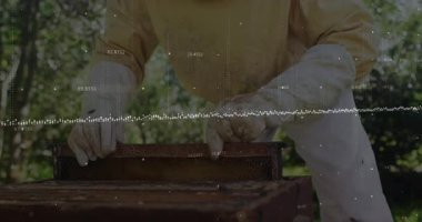 Kıdemli arı yetiştiricisi arı kovanından kayıyor ve kovandaki bal peteğini incelemek için çerçeveyi kurcalıyor. Apiary, conservation, natural, çevre dostu, kırsal, sürdürülebilir, kırsal endüstri