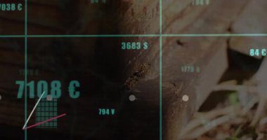 Veri tazeleme başlangıç tablosu büyüyen çubukları ve para birimi değişimlerini gösteren trend çizgilerini örtüyor. Finans, veri görselleştirme, analitik, dijital, modern, üretkenlik, büyüme