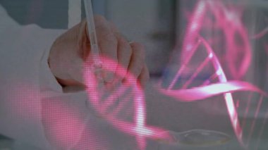 Biyoteknoloji çalışması için DNA sarmalı girdabı oluştururken elinde pipet tutan bir araştırmacı. Laboratuvar, bilim, biyoteknoloji, moleküler, araştırma, teknoloji, kesinlik.