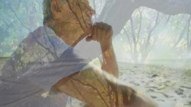 Yaşlı adam oturmuş, ağaçlar kumsalın solukluğunu gösterirken zihinsel sağlığını düşünüyor. Meditasyon, dinginlik, içgözlem, farkındalık, sükunet, manzara, doğal