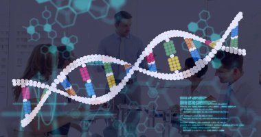 Genetik araştırmaları tartışan uzmanlarla toplantı masasının üstünde yarı saydam DNA sarmalı yüzüyor. Biyoteknoloji, yenilik, işbirliği, dijital, fütüristik, bilim, veri