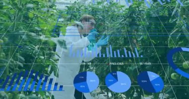 Araştırmacı bilim adamı, sera sağlığı ölçümlerini güncellerken sarmaşıkları spreyliyor. Tarım, sürdürülebilirlik, veri görselleştirme, yenilik, bahçıvanlık, teknoloji, kesinlik