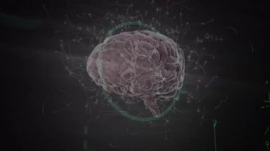 Yeşil halka ortaya çıktıktan sonra dönen üç boyutlu dijital beyin modeli, atımlı devreler nöral veri akışını haritalıyor. Nöroloji, teknoloji, yenilik, görselleştirme, bağlantı, dijital, fütüristik