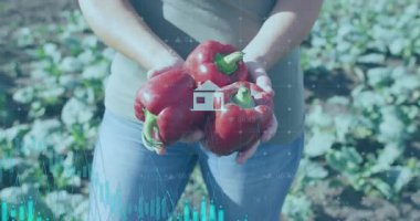 Kırmızı dolma biber tutan ve bisiklet sektörü simgeleriyle tarımsal veri grafiğine başlayan kadın çiftçi. Tarım, sürdürülebilirlik, yenilik, sağlıklı, çevre, büyüme, kırsal