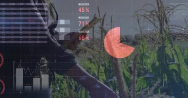 Agronomist yetiştirme tableti ve saha animasyon çizelgelerinde araklama verimi kontrol etmek için ölçü göstergesi. Hassasiyet, teknoloji, analitik, tarım, büyüme, veri görselleştirme, kırsal