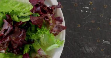 Kamera görüntüleme ve eğilme marul kasesini tetikler. Doku analizi için nabız ölçümleri yapılır. Sebzeler, sağlık, teknoloji, dijital, analiz, tazelik, sunum