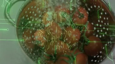 Sarmaşık domateslerinin üzerine dökülen su kevgir kıvılcımları kıvılcımlar saçarak beyin şeklini zayıflatıyor. Taze ürün, teknoloji, dijital grafikler, mutfak gereçleri, aşçılık, yenilik, modern