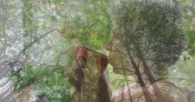 Yaşlı kadın kırmızı kupa tutuyor, dudaklarını kaldırıyor, ormanın ortasında sağlığını yudumluyor. Doğa, rahatlama, farkındalık, dinginlik, çevre dostu, sükunet, tefekkür