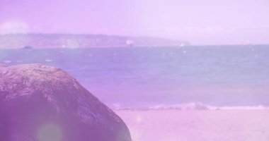 Sahne kayaların ve plajların yanında yükselen ve solan mor Bokeh daireleri sükuneti artırıyor. Kıyı, dinginlik, soyut, doğa, minimalizm, sükunet, manzara