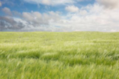 Gökyüzüne karşı çimenlik alanın ideal görünümü