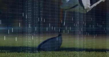 Golf topunu golf sahasına yerleştirmek, şoförün finans kavrayışı için şamdan çubuğu gibi sallanması. Spor, hassasiyet, strateji, lüks, açık hava, dinamik, analiz