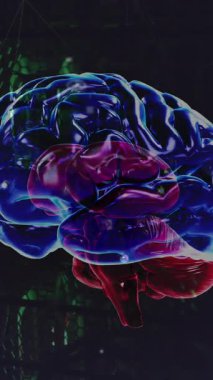 Sunucu odasındaki bağlantıların ve beynin animasyonu. Küresel teknoloji ve dijital arayüz konsepti dijital olarak oluşturulmuş video.