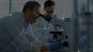 Ortak tıkırdatma tüpünden sonra, laboratuvar bilimcileri analiz için kaydırağı dijital kaplama olarak inceliyorlar. Araştırma, işbirliği, yenilik, analiz, araştırma tesisi, bilimsel, teknoloji