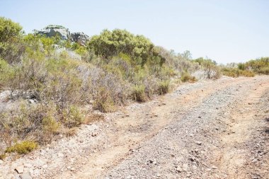 Kurak düz tasarım sahnesinde sarmal çakıl yolu kıvrımlı, alçak çalılarla birlikte. Toprak, manzara, yaban, engebeli, açık hava, doğa, arazi