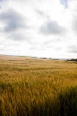 Idyllic view of agriculture land against sky
