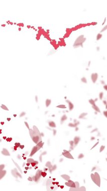 Beyaz arka planda yüzen kırmızı kalplerin animasyonu. Sevgililer Günü, romantizm ve aşk konsepti dijital olarak oluşturulmuş video.