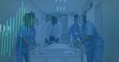 Doktor panoyu dalga formu kaplamalarıyla kontrol ettikten sonra tıbbi personel sedyeyi çıkışa doğru itiyor. Tıbbi ekip, sağlık, hastane, klinik, takım çalışması, profesyonel, tıbbi çevre