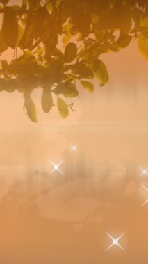 Sahilde birbirini öpen Afro-Amerikan çifti üzerine parlayan yıldız ikonlarının canlandırması. Aşk ve ilişki kavramı