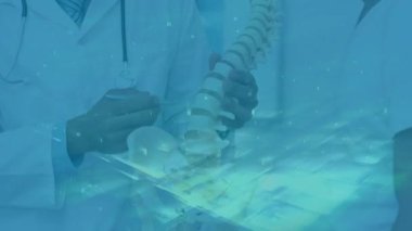 Doktor omurgayı klinikte işaret ediyor ve bel diskini hasta dönüşümlü modeli olarak işaretliyor. Medikal, eğitim, etkileşimli, öğretici, sağlık, tanı, profesyonel