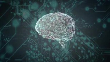 Aktif hale getirildikten sonra, üç boyutlu holografik beyin, gök mavisi devre arkaplanı boyunca dönüyor, veri akışını görselleştiriyor. Teknoloji, yenilik, görselleştirme, soyut, fütürist, dijital, nöral