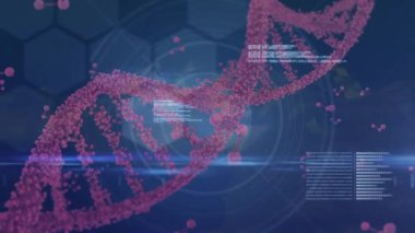 Fırlatıldıktan sonra pembe DNA sarmalı oluşuyor ve moleküler veriyi görselleştirirken izleyiciye doğru dönüyor. Fütürist, dijital, biyoteknoloji, soyut, bilimsel, yüksek teknoloji, yenilik