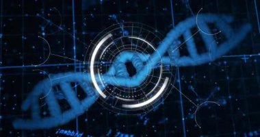 Koyu mavi şebeke arka planında beliren DNA sarmalı saat yönünün tersine dönerken HUD taramasına başlıyor. Teknoloji, biyoenformatik, veri görselleştirme, bilimsel, geleceksel, yenilik, moleküler