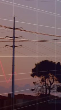 Sütunların üzerinde veri işleme animasyonu. Küresel iş ve dijital arayüz kavramı dijital olarak oluşturulmuş video.