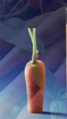 Kesilmiş havuç ve mavi arka planda havuçlu bir bardak jucie karışımı. Taze meyve, sağlıklı beslenme, vegan ve vejetaryen gıda konsepti.