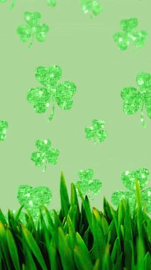 Yeşil arka planda yonca ve çimen animasyonu. Aziz Patrick Günü ve dijital olarak üretilen video konsepti.