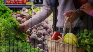 Maydanoz çeken bir kadın sepetin üzerinde tazelik göstergesi var. Ortağı sepetini markette sabit tutuyor. Taze üretim, sağlıklı yaşam tarzı, organik tarım, alışveriş deneyimi, aile aktivitesi, minimalizm, canlı renkler