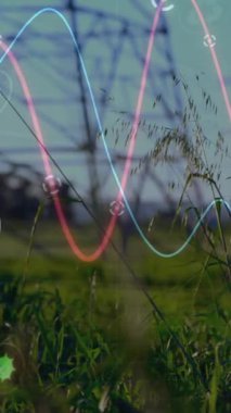 Kırsal kesimdeki elektrik direkleri üzerinde finansal veri işleme animasyonu. Küresel elektrik, finans, iş, bağlantılar, hesaplama ve veri işleme kavramı dijital olarak oluşturulmuş video.