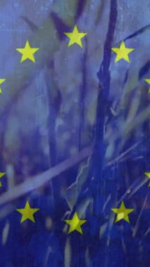 Dijital bileşik Avrupa bayrağı, rüzgarda mavi gökyüzü ile güzel gün hışırtı Mısır tarlasında huzurlu sahne. Atış kaydırma