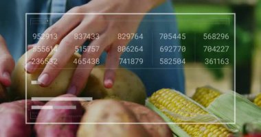 Sarı patatesi kaldıran ve tarla teknolojisini etkinleştiren bir kadın mısır kaydırabilir ve domates çevirebilir. Tarım, dijital, analiz, bahçıvanlık, tazelik, yenilik, organik