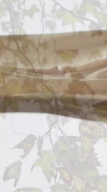Düşen yaprakların üzerinde yüzen kumaş animasyonu. Doğa, bitkiler, mevsim ve uyum, dijital olarak üretilen video.