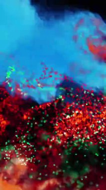 Siyah arkaplanda hareket eden ışıkların ve dalgaların animasyonu. renk, hareket ve enerji arkaplan kavramı, dijital olarak oluşturulmuş video.