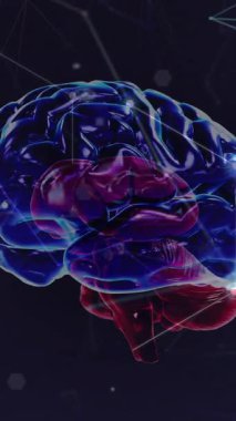 Siyah arkaplan üzerinde dönen dijital beyin üzerindeki çizgilerle bağlantılı aydınlatılmış noktaların animasyonu. Dijital olarak üretilmiş, illüstrasyon, iletişim, anatomi, yapay zeka ve teknoloji.