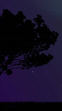 Aurora 'da Noel' de ağaç animasyonu. Noel, kış, gelenek ve kutlama konsepti dijital olarak oluşturulmuş video.