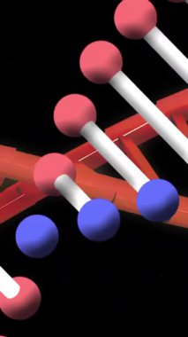 Animation of dna strands on black background. Global business and digital interface concept digitally generated video.